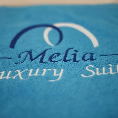 Melia Luxury With Pool 度假居 Nea Iraklitsa