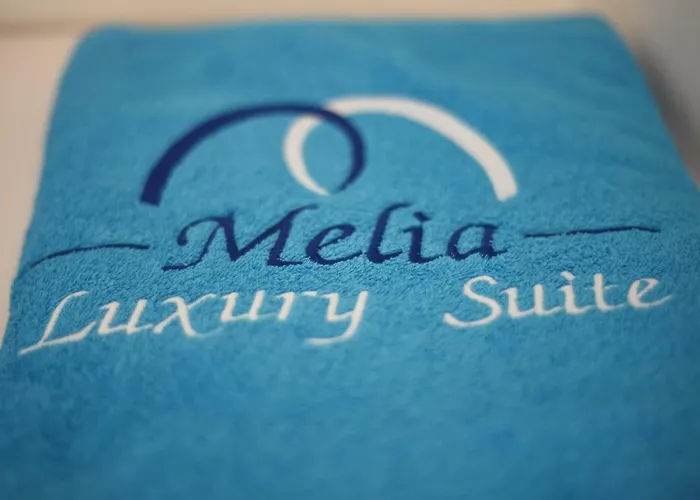 Melia Luxury With Pool Holiday home Nea Iraklitsa